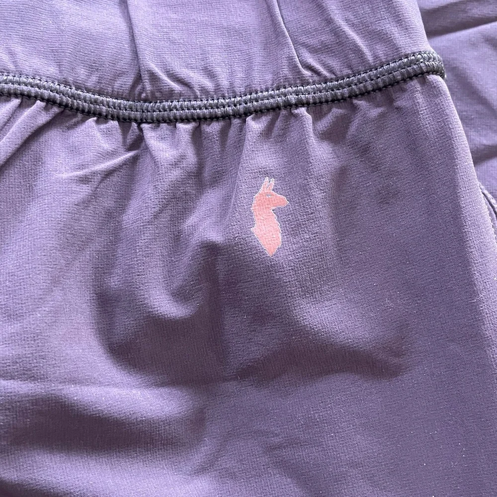 Cotopaxi Jogger Pants - Picture 8 of 9